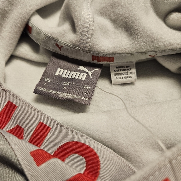 NWT Puma Men's England FTBLCore Fan Fleece Hoodie Sweatshirt Size Large - Picture 4 of 11